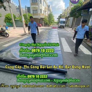 Bạt lót hồ